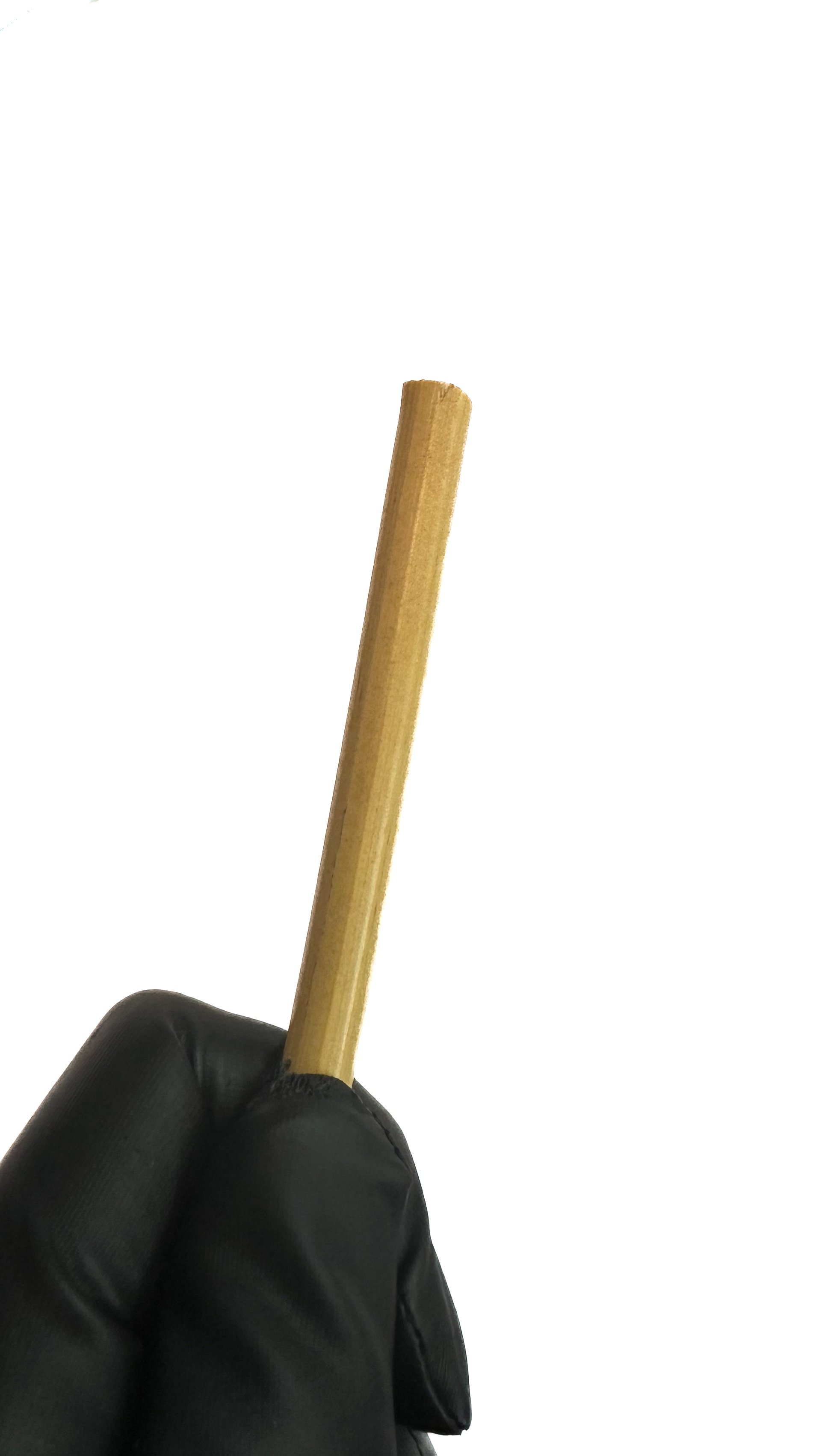 Cane unbehandelt, ungeschält, ca. 8 mm dick, Länge ca. 80 cm